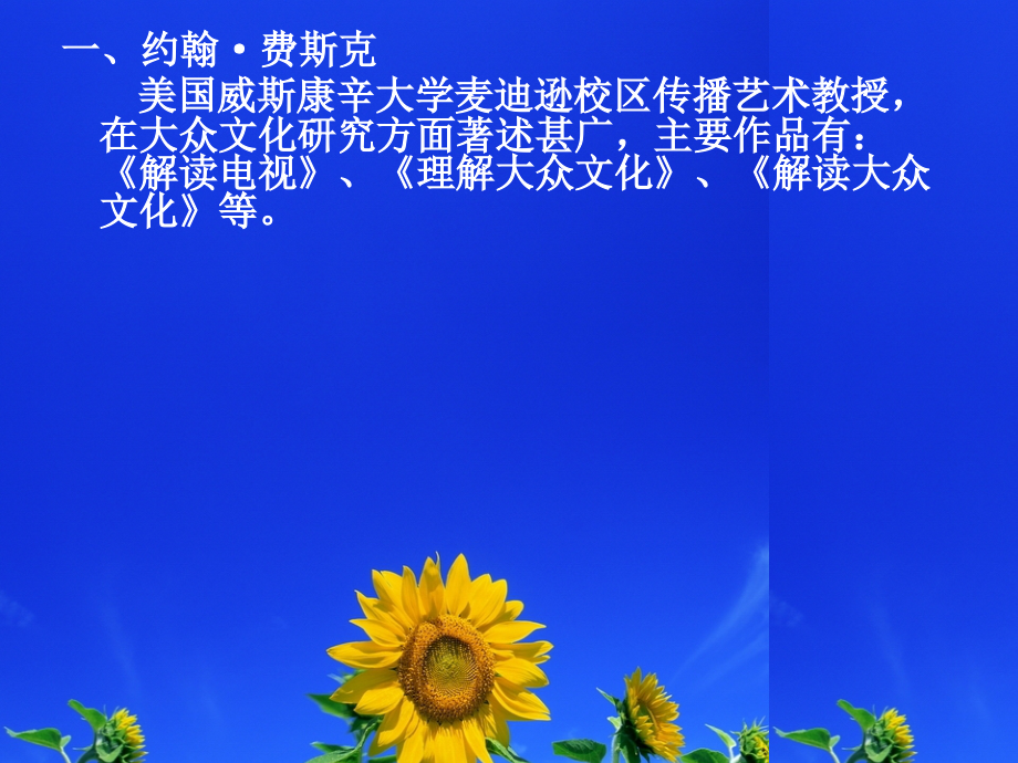 理解大众文化.ppt_第2页