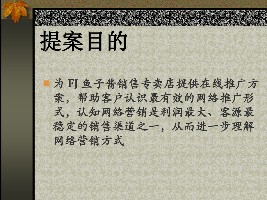 产品网络推广案例.ppt_第2页