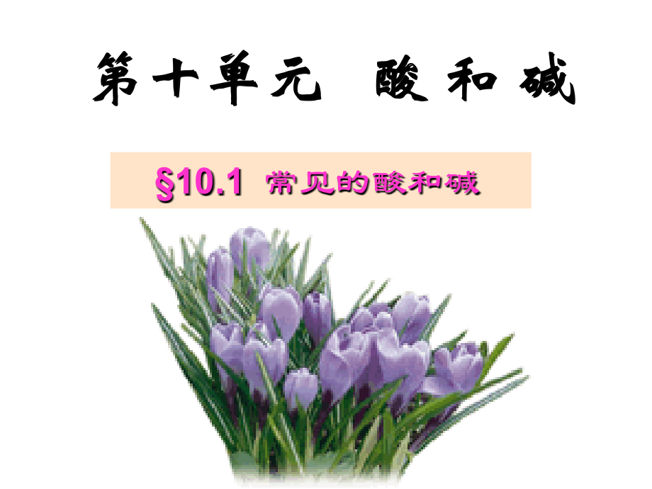 酸碱的性质.ppt_第1页