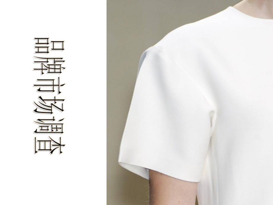 服装品牌设计.ppt_第2页