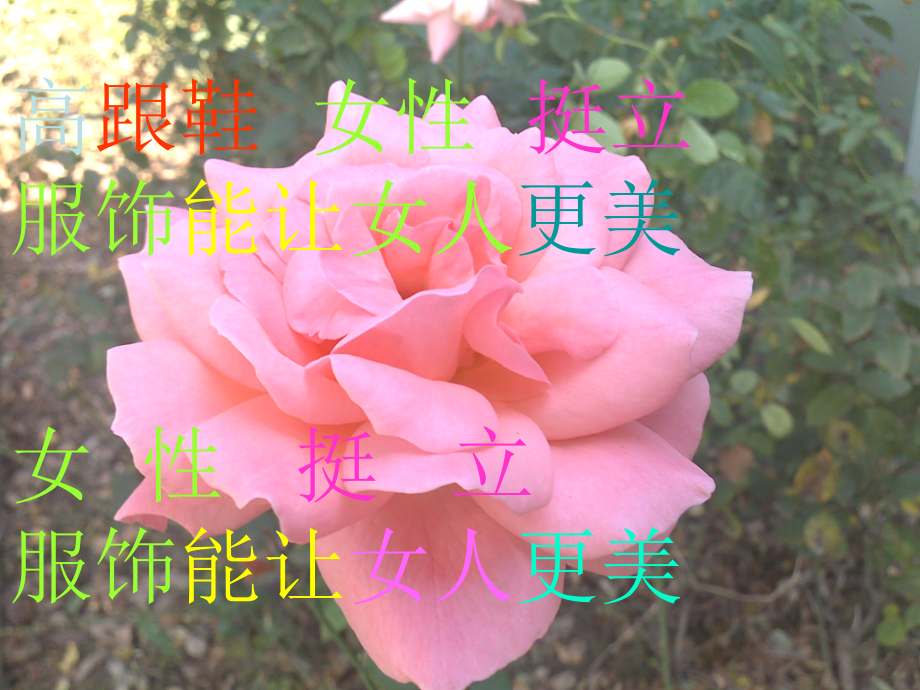 服饰能让女性更美丽.ppt_第2页