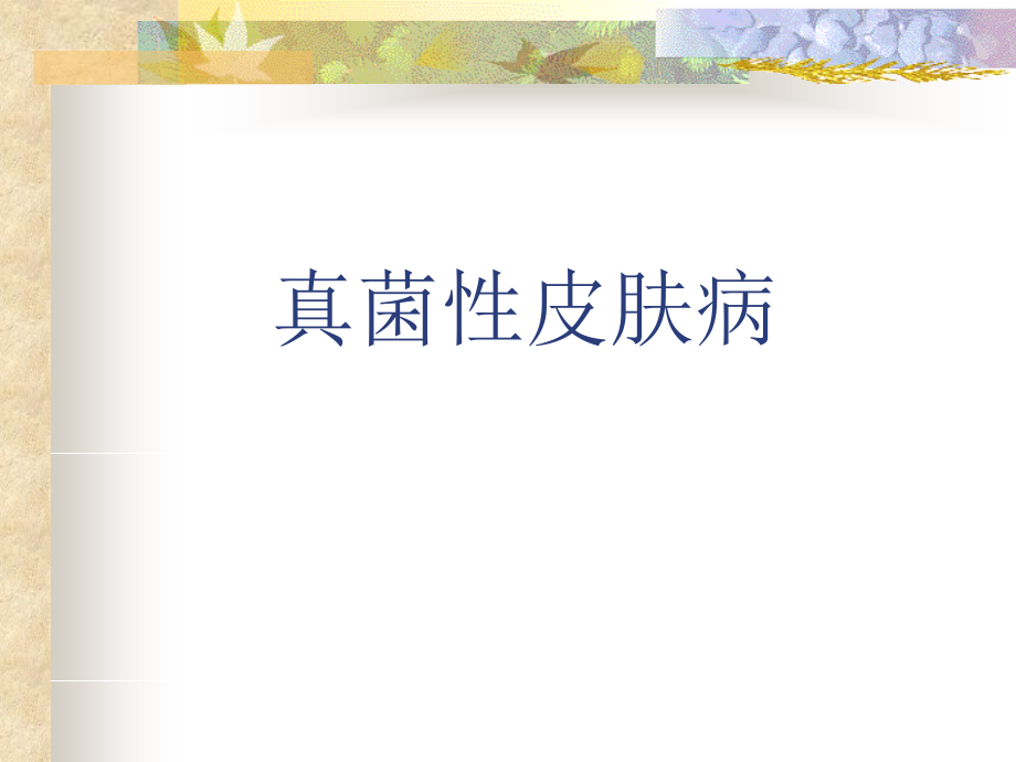 真菌性皮肤病1.ppt_第1页
