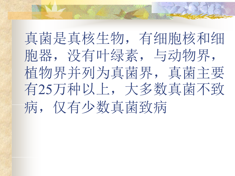 真菌性皮肤病1.ppt_第2页