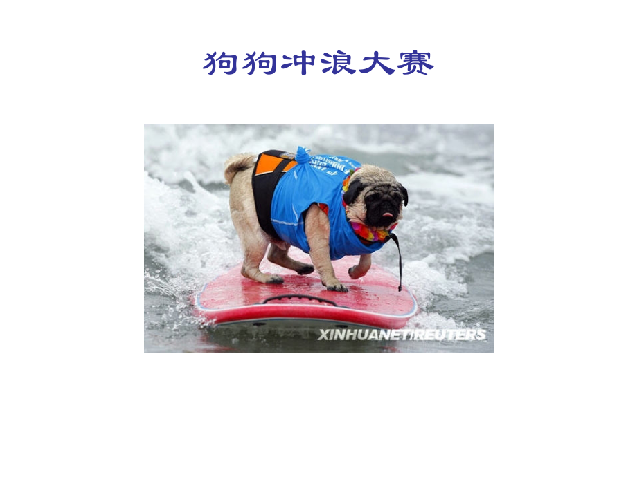 狗狗冲浪大赛.ppt_第1页
