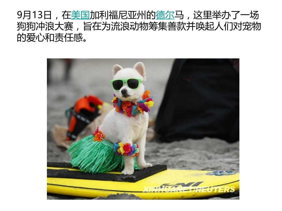 狗狗冲浪大赛.ppt_第2页