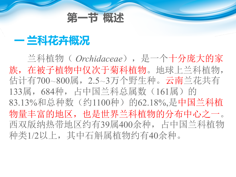 兰科花卉基础知识.ppt_第1页