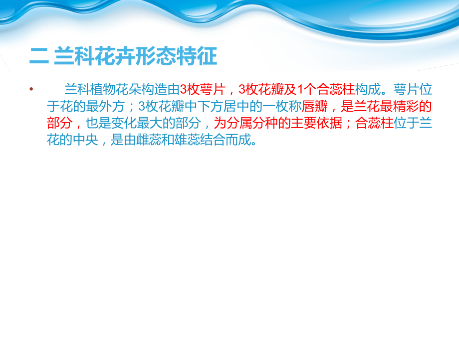 兰科花卉基础知识.ppt_第2页