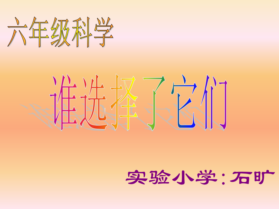 谁选择了它们课件.ppt_第1页
