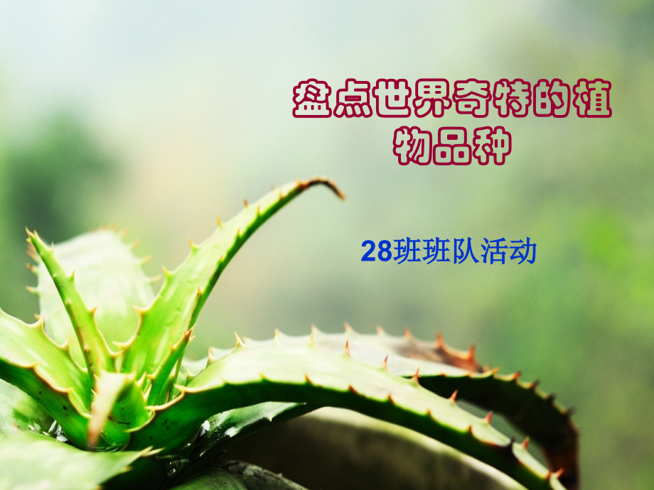 盘点世界奇特的植物品种(1).ppt_第1页