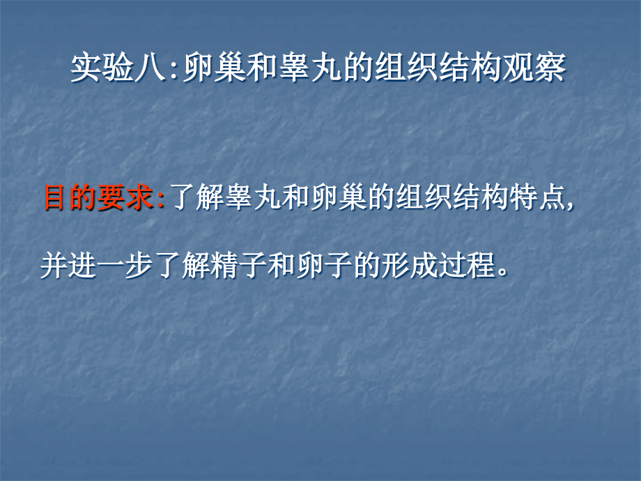 卵巢和睾丸组织结构观察.ppt_第1页