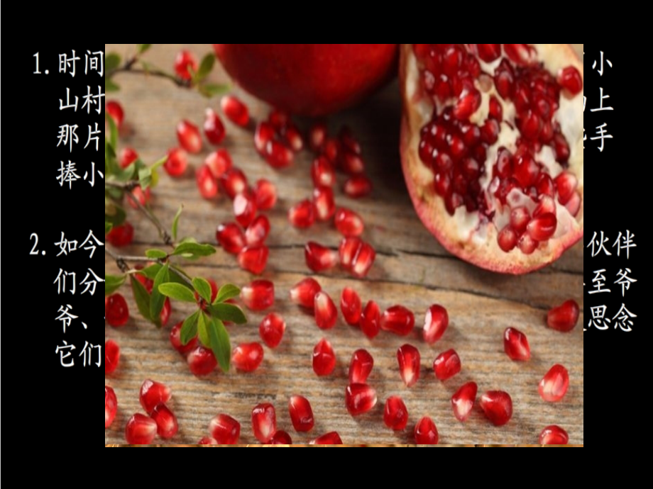 石榴又红了.ppt_第2页