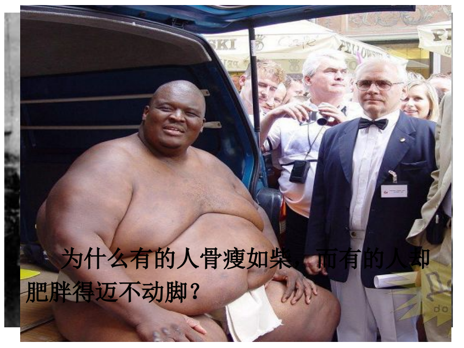 七年级下册人类的食物.ppt_第2页