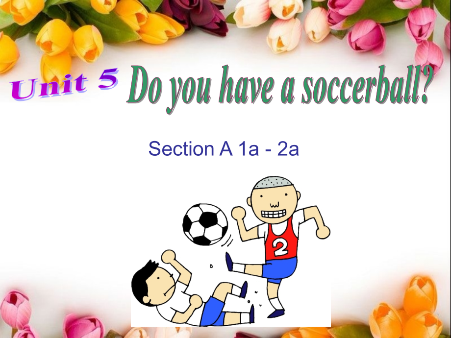 人教新目标七年级上册课件Unit5Doyouhaveasoccerball？SectionA（1a-2c）（共23张PPT）.ppt_第1页