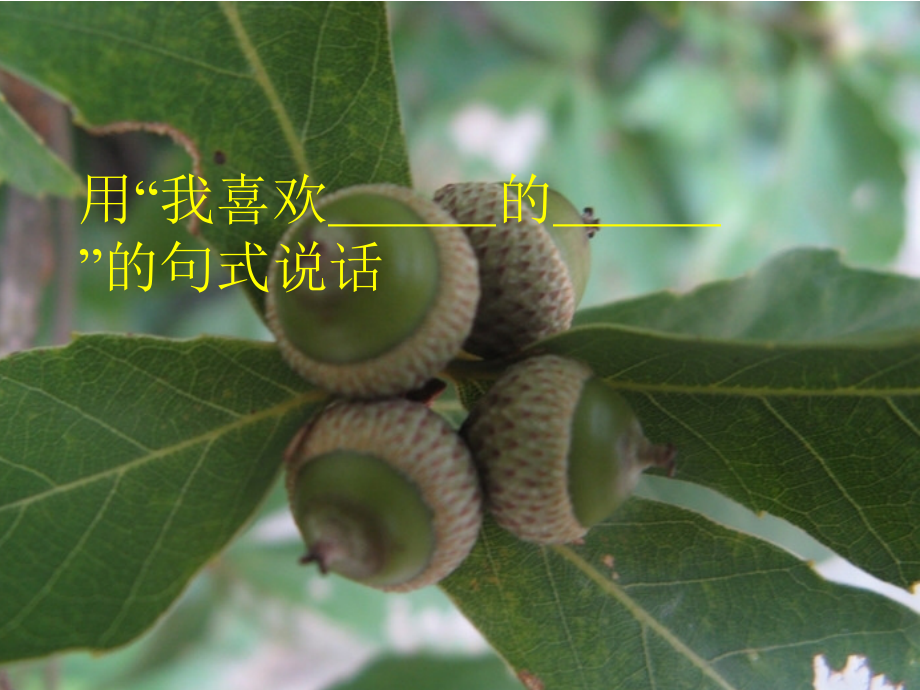 讲课用 (2).ppt_第2页