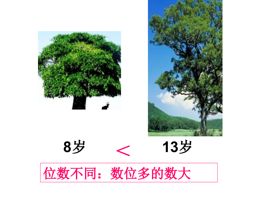 千以内数的大小比较[1]01.ppt_第2页