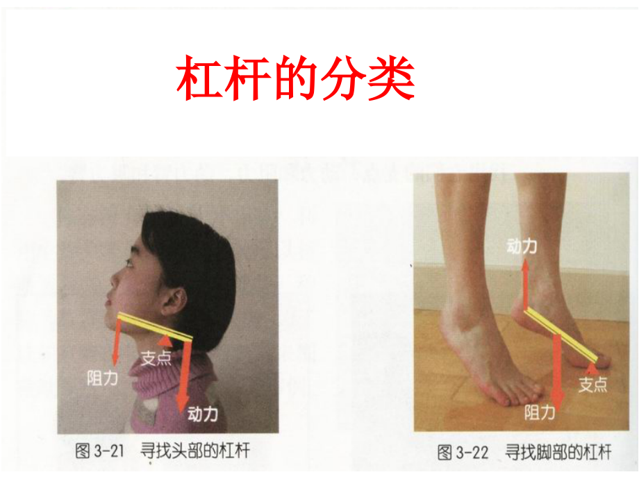 杠杆的应用3.ppt_第1页