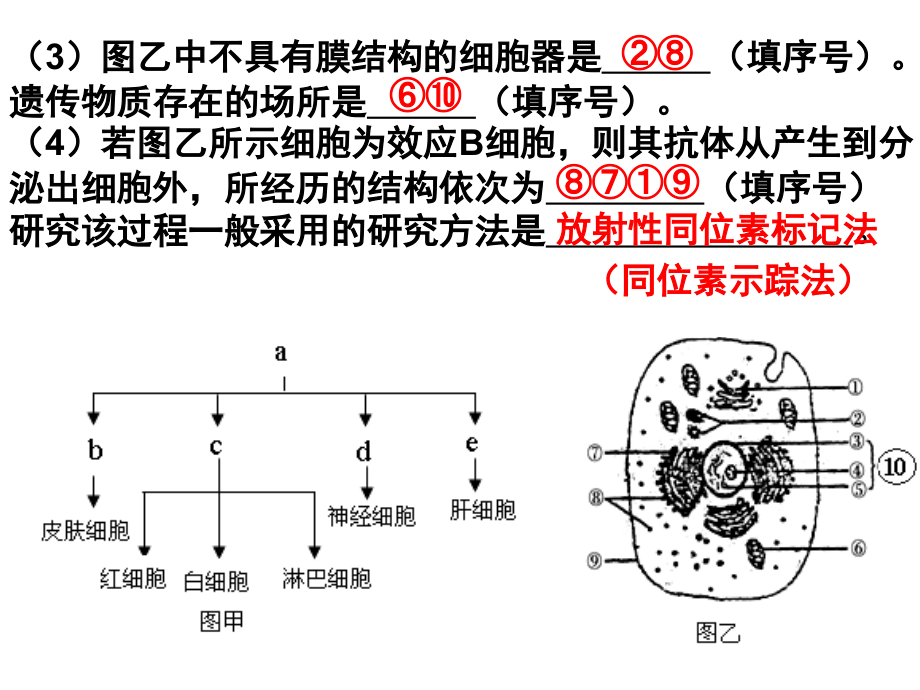 高三生物考前练习.ppt_第2页
