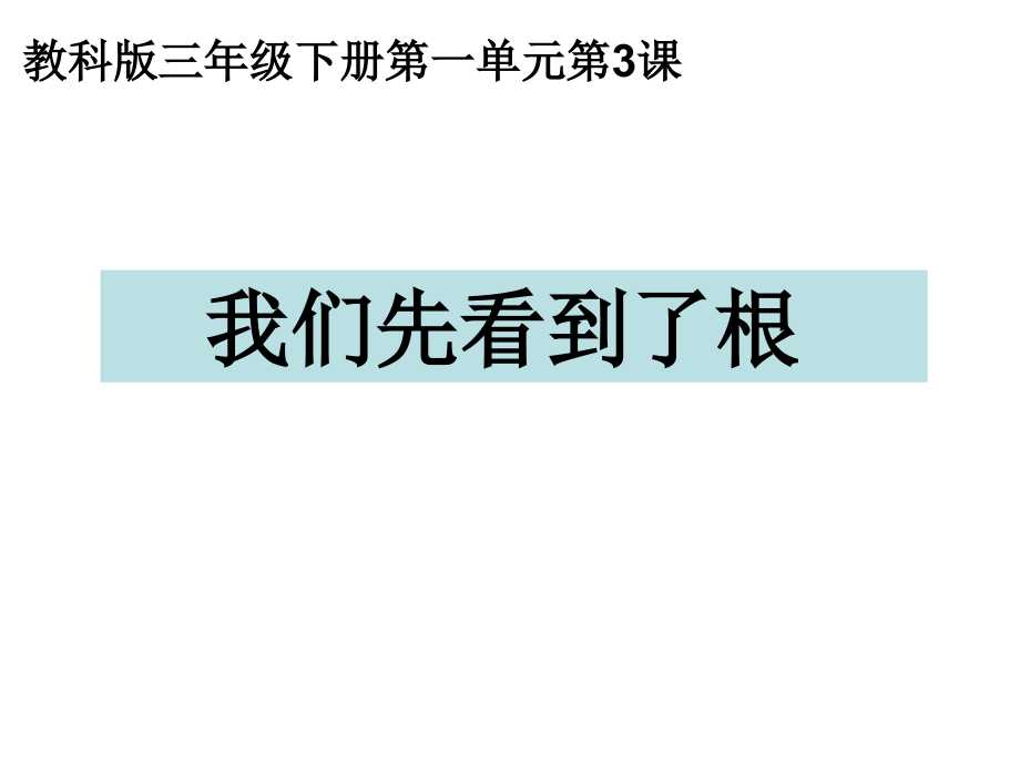 一3我们先看到了根.ppt_第1页