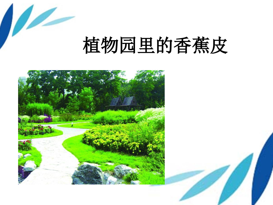 快乐的小鸭子-副本.ppt_第1页
