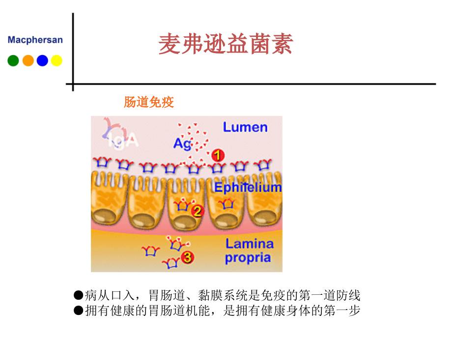 健康知识：麦弗逊益菌素.ppt_第2页