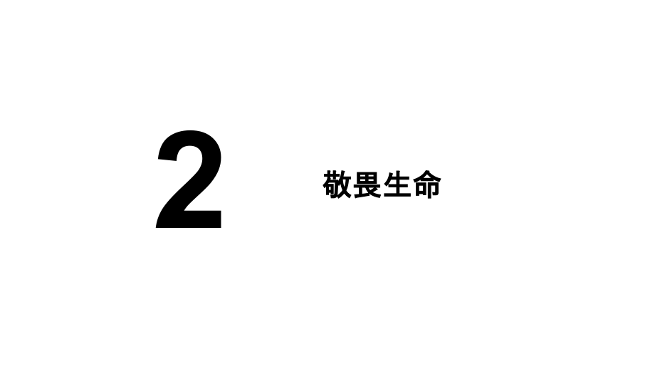 敬畏生命课件-(新).ppt_第2页