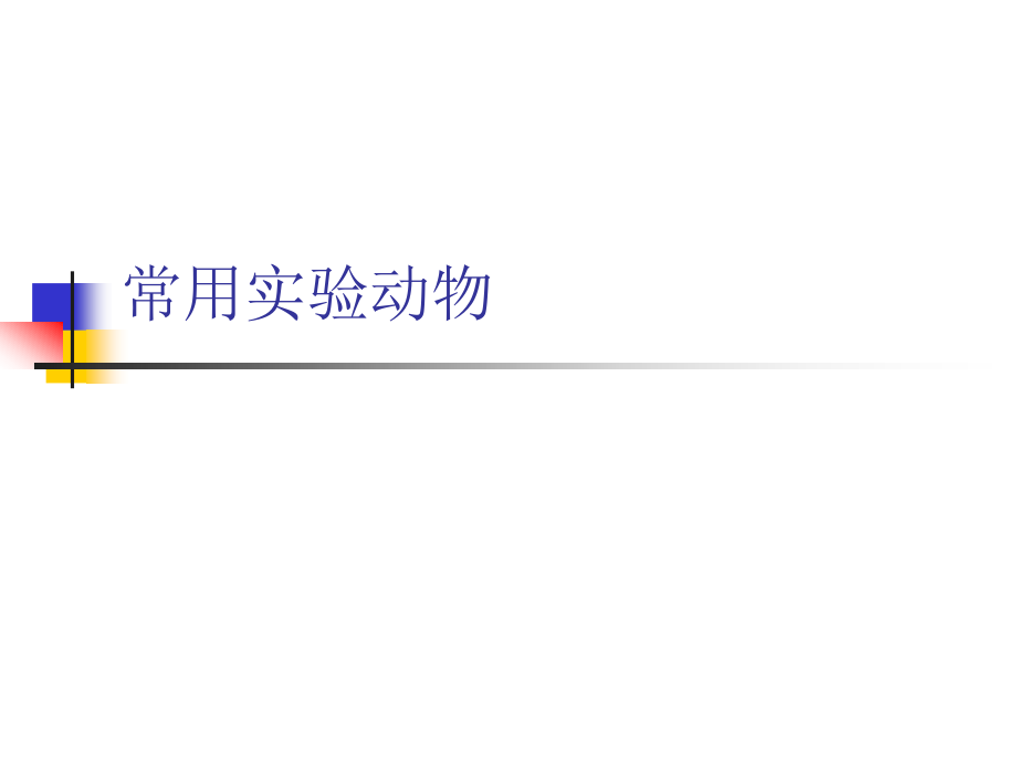 常用实验动物2.ppt_第1页