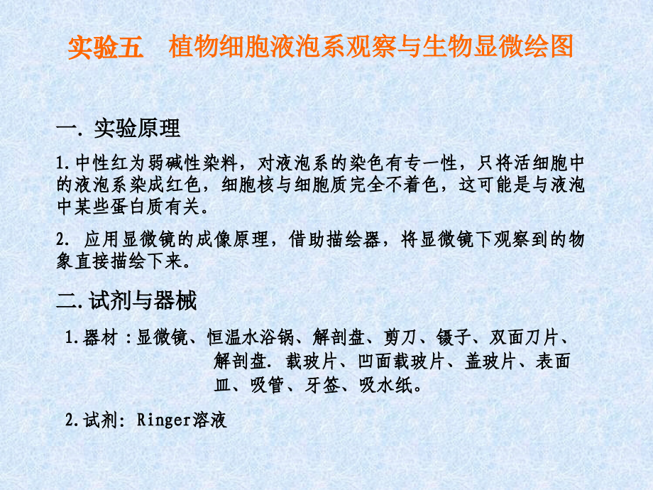 植物细胞液泡系观察与生物显微绘图.ppt_第1页