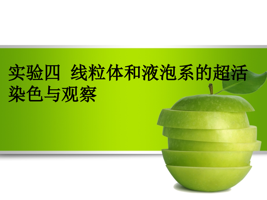 实验四 线粒体和液泡系的超活染色与观察.ppt_第1页