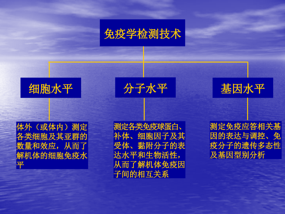 免疫分析技术之ELISA王娟.ppt_第2页