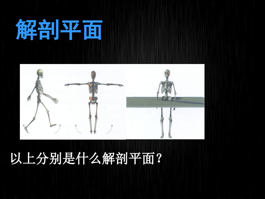 体适能中的解剖学和肌动学.ppt_第2页