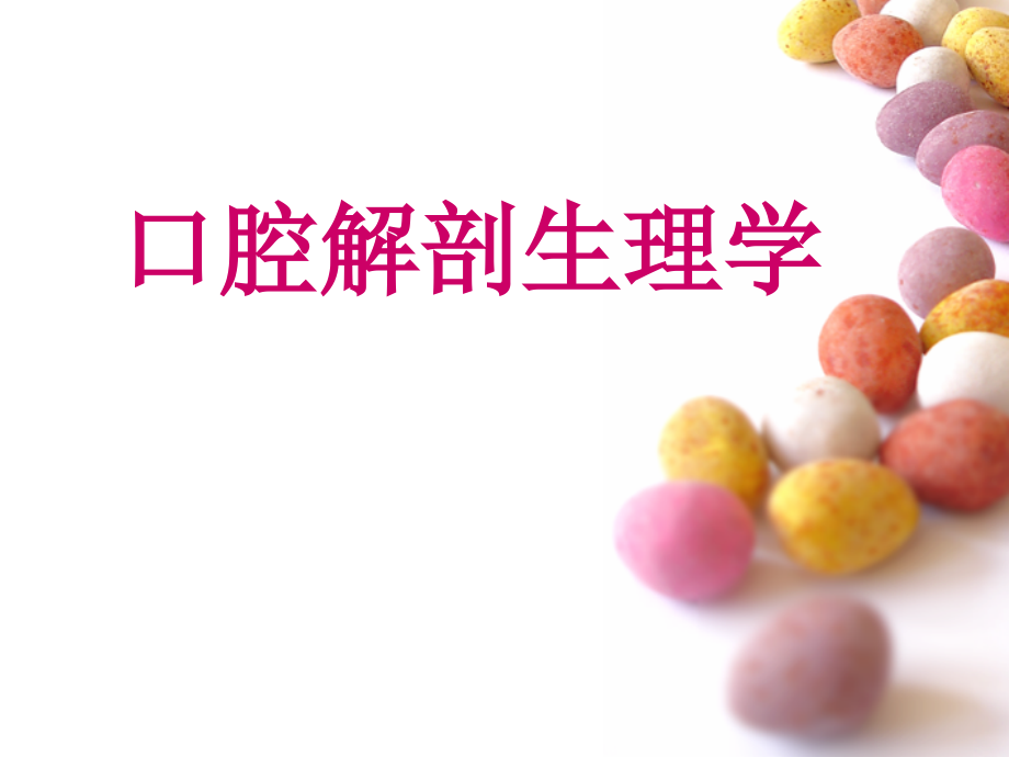 口腔解剖1牙体解剖.pptx_第1页
