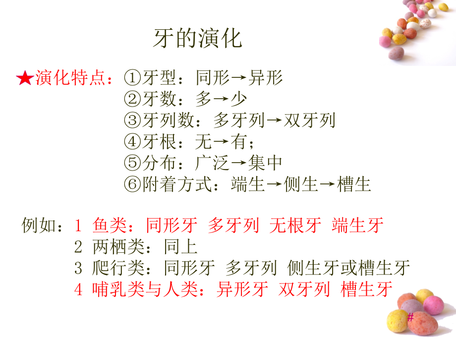 口腔解剖1牙体解剖.pptx_第2页