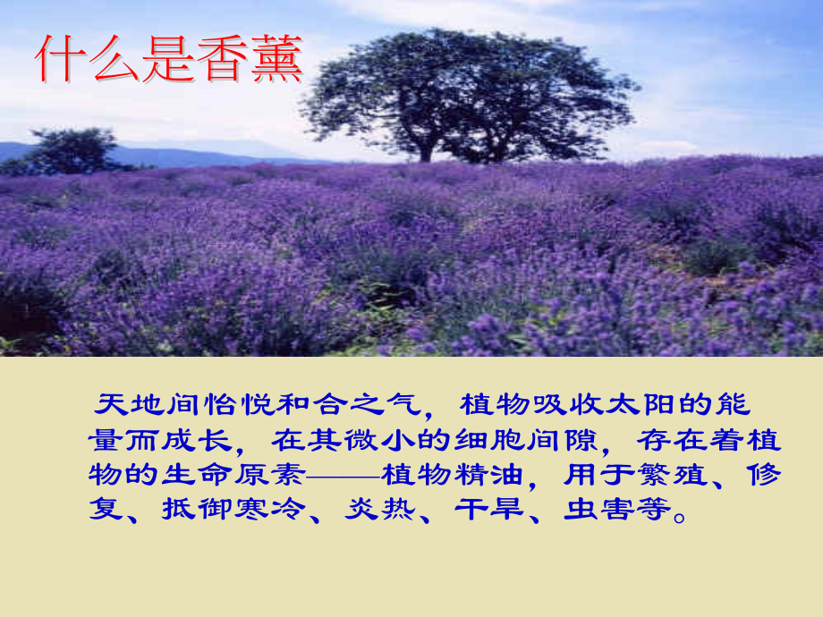 香薰治疗师课.ppt_第2页