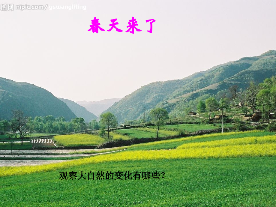 湘教版四年级下册美术3、春天来了.pptx_第2页