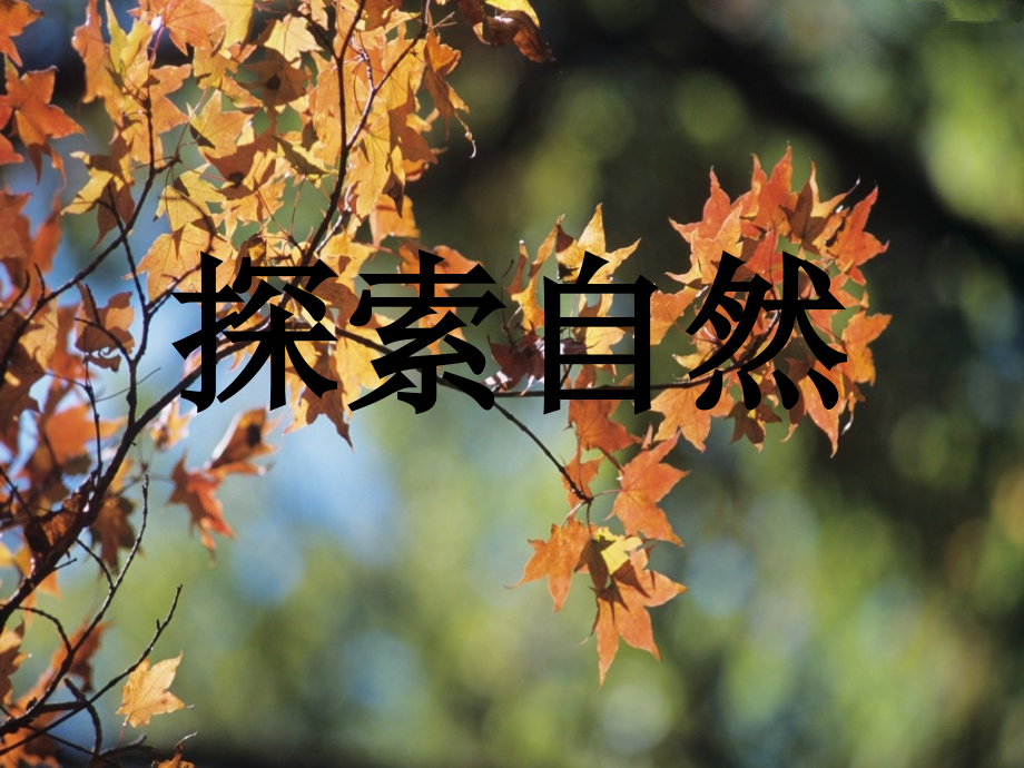 探索自然——第一课时20189.ppt_第1页
