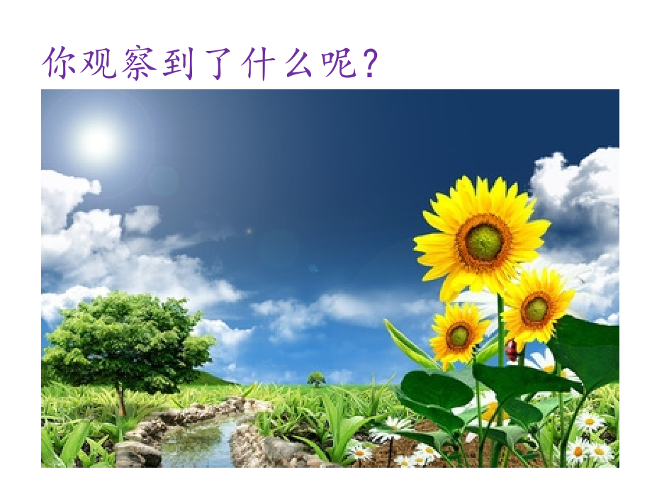 探索自然——第一课时20189.ppt_第2页
