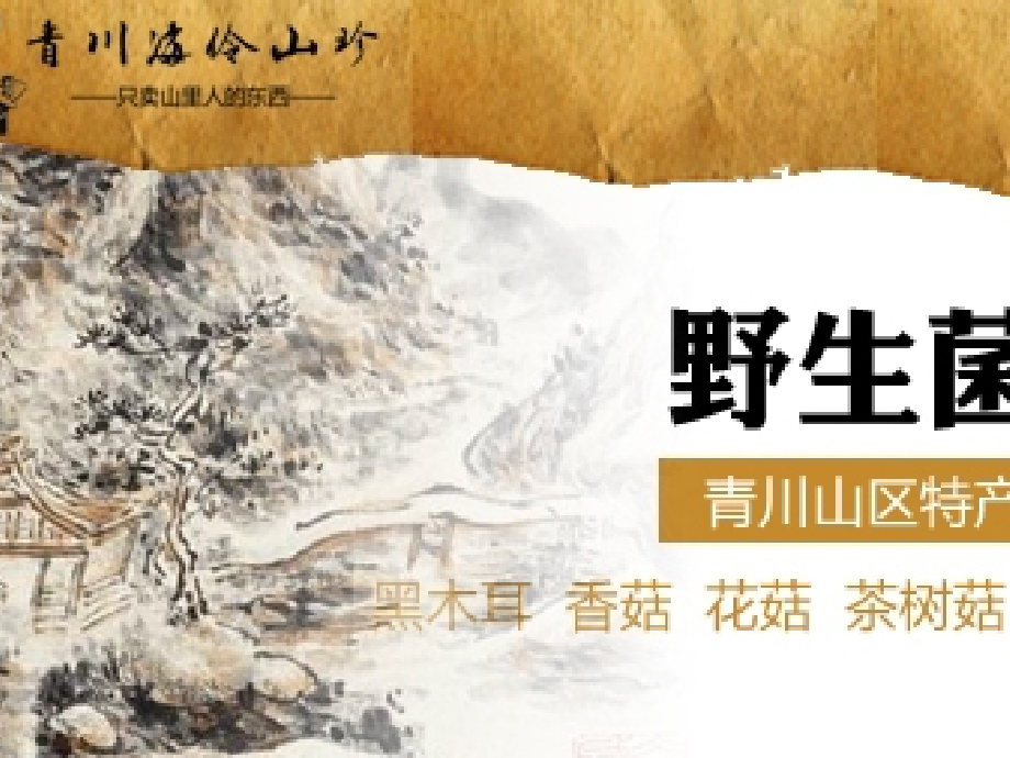 介绍网点的PPT.ppt_第2页