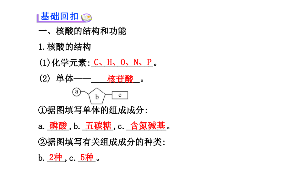 高中生物复习 第2章 第3、4节遗传信息的携带者 核酸 细胞中的糖类和脂质课件 新人教版必修1.ppt_第2页