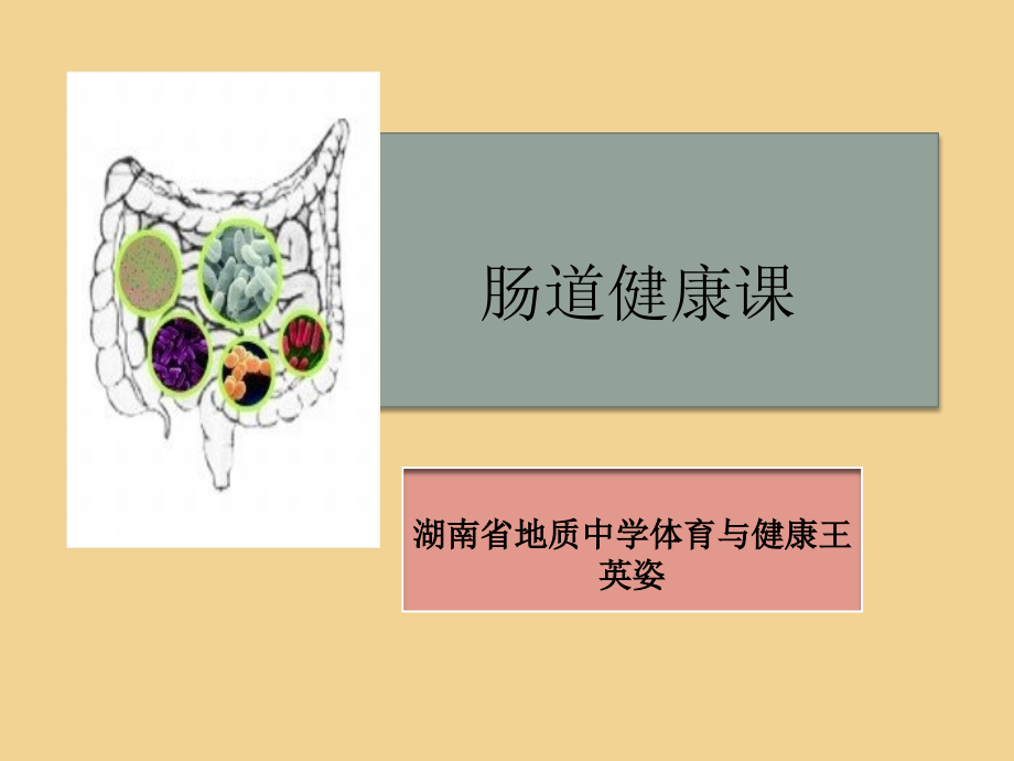 体育-地质中学-王英姿-微课说明.ppt_第1页