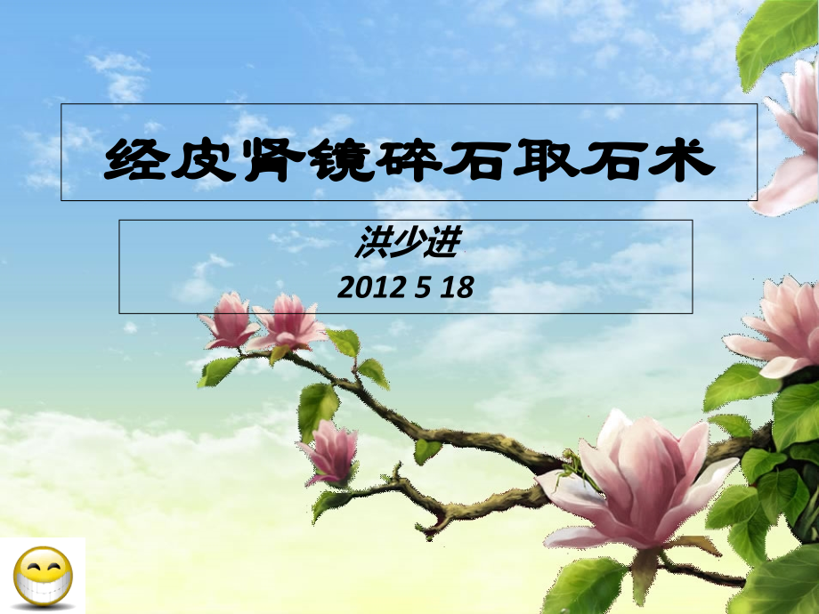 经皮肾镜碎石术.ppt_第1页