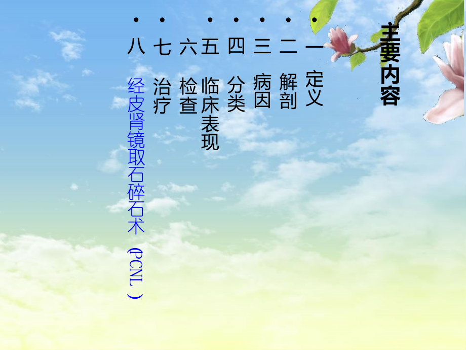 经皮肾镜碎石术.ppt_第2页