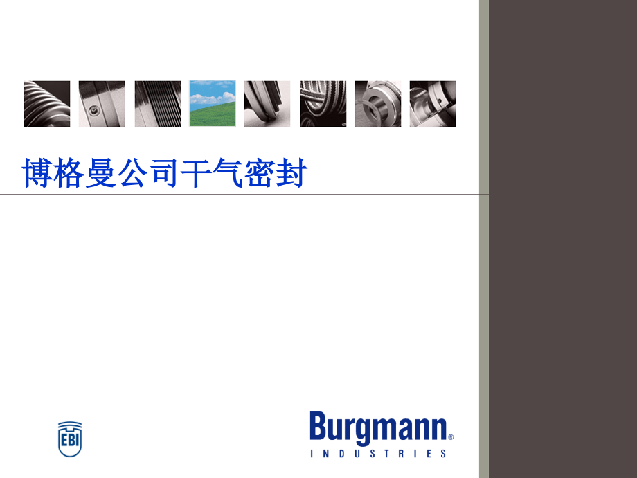 博格曼公司干气密封.ppt_第1页