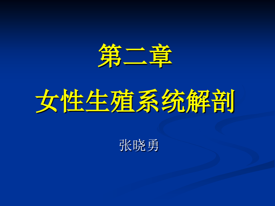 女性解剖课件.ppt_第1页