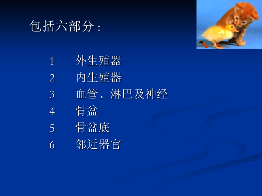 女性解剖课件.ppt_第2页