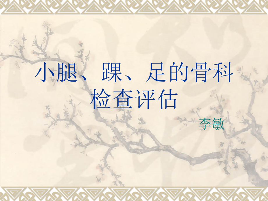 小腿、踝、足的骨.ppt_第1页