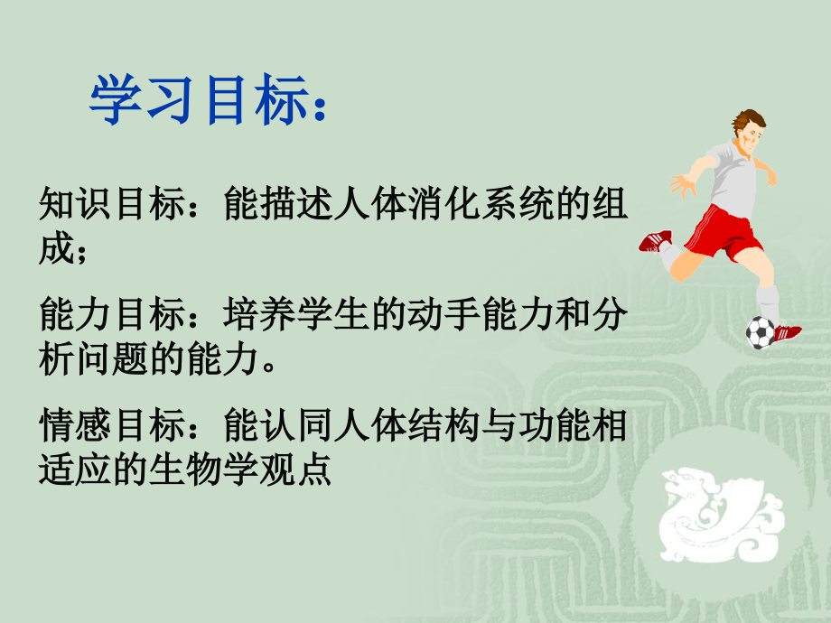 消化与吸收2.ppt_第2页