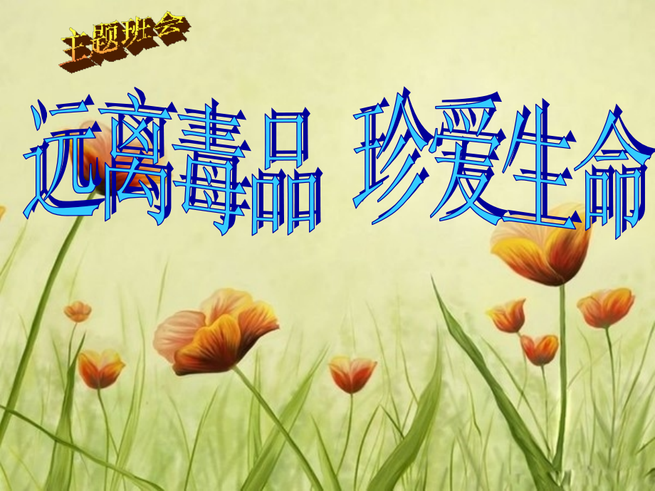 课件-禁毒教育(共25张PPT).ppt_第1页