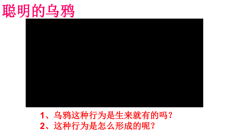 人教版八年级上册522先天性行为和学习行为公开课教学课件共27张PPT.ppt_第2页
