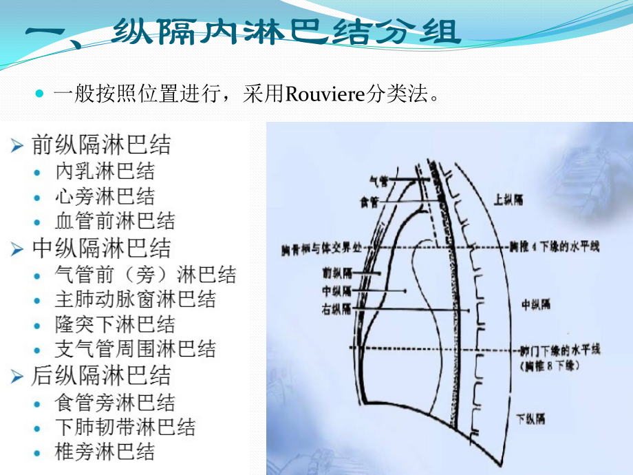 lymph node.pptx_第2页