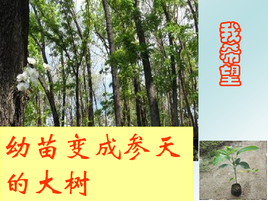 五三班家长会.ppt_第2页